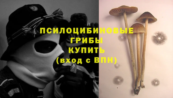 тгк Балахна