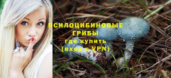 стафф Беломорск