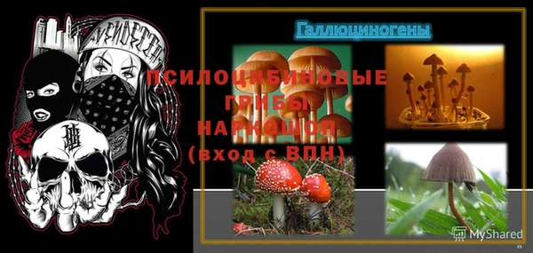 стафф Беломорск