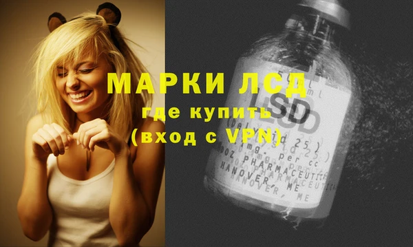 стафф Беломорск